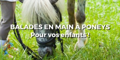 Balades en main a poneys pour vos enfants