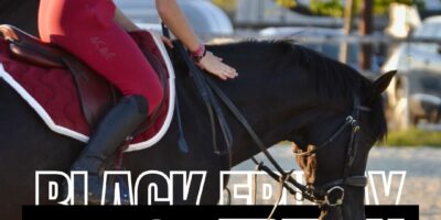 BLACK FRIDAY sur nos activités de Noël !