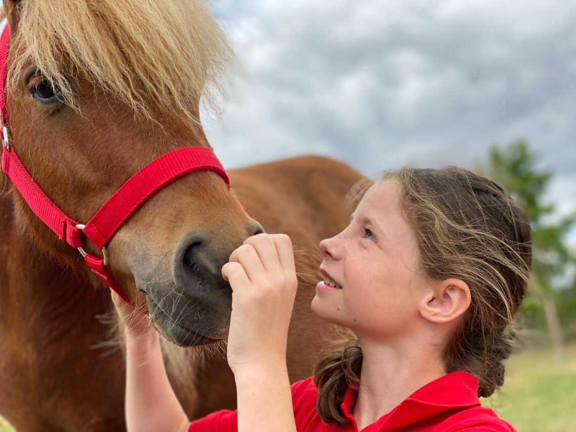 Enfant partageant un moment avec un poney pendant un stage