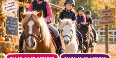 Vacances de la Toussaint 2026 : stages et animations à poney