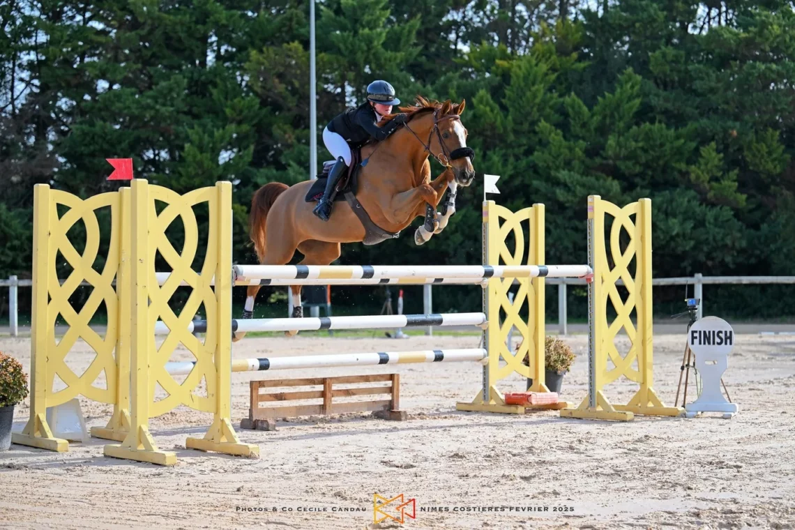 Cavalier et cheval franchissant un obstacle en compétition Amateur