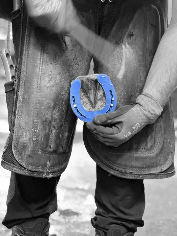 Pose d’un fer sur mesure sur le sabot d’un cheval